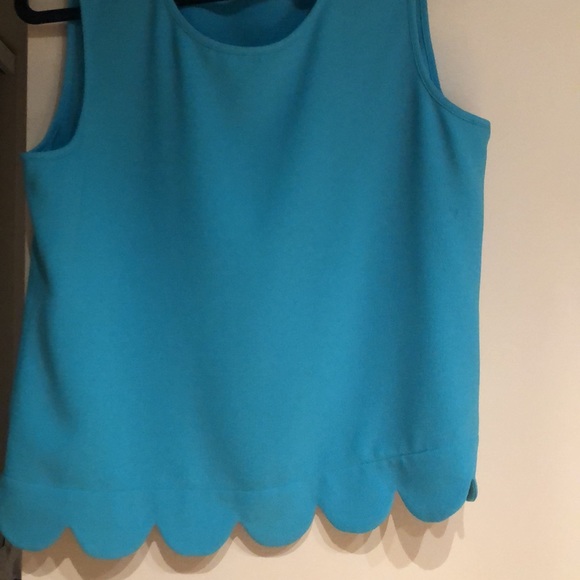 Teal Limited shell - Picture 3 of 3